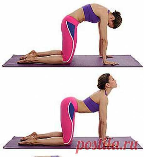 цитата Моя_кулинарная_книга : УПРАЖНЕНИЯ ДЛЯ УКРЕПЛЕНИЯ СПИНЫ (09:00 03-02-2014) [3226371/311262437] - natasha_5656@mail.ru - Почта Mail.Ru