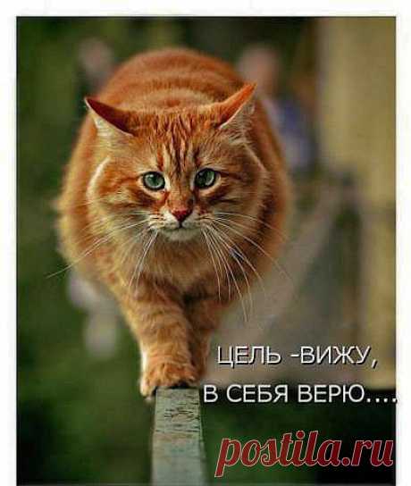 Самовнушение Самовнушения