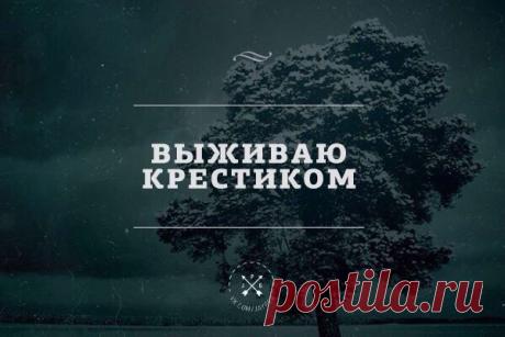 Сохранённые фотографии Эммы | 2 883 фотографии