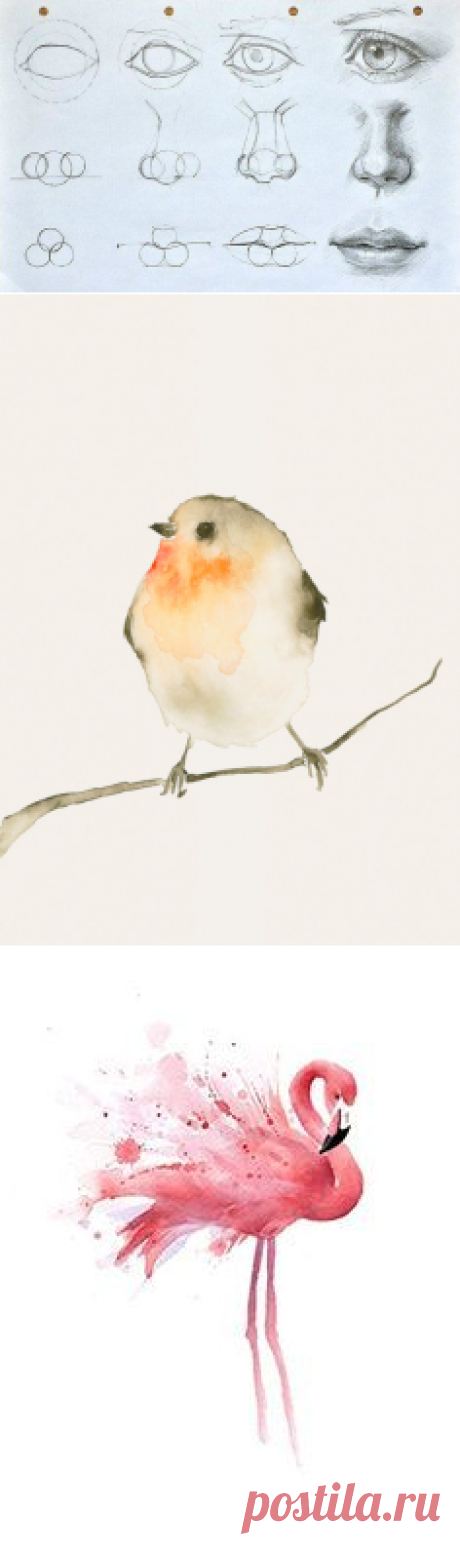 (856) Pinterest
