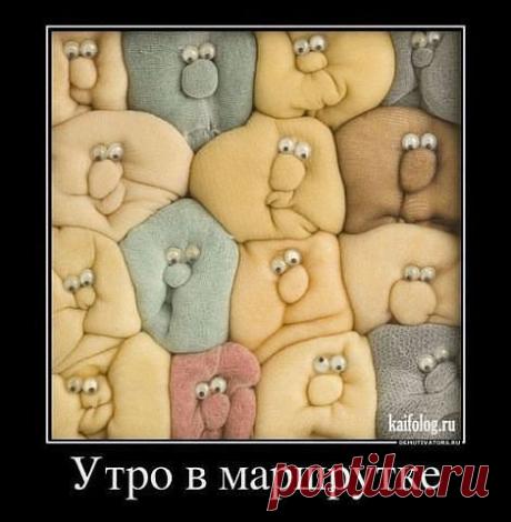 image (470×480)