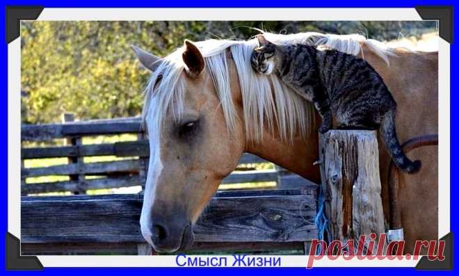 Мой Мир@Mail.Ru