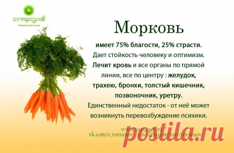 Морковь