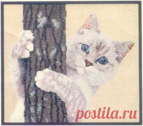 Вышивка.Кошка на дереве.