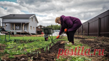 Специалист Коптев рассказал, как довезти на дачу саженцы и рассаду. Директор департамента сервиса ПЭК Игорь Коптев рассказал, как довезти на дачу саженцы, рассаду и цветы. Читать далее