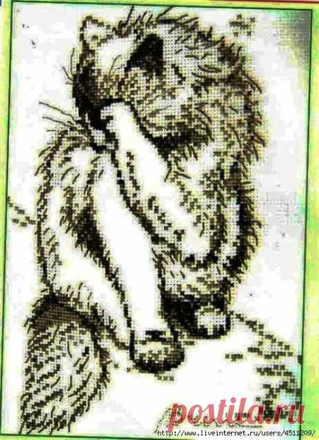 Котик. Вышивка крестом.