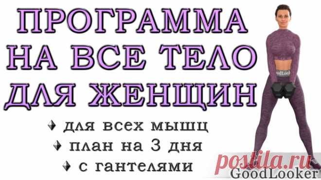 Программа тренировок на все тело для девушек с гантелями
