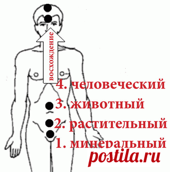 Между реальностью и иллюзиями, или Кто управляет вашим сознанием? - 
обычное «цивилизованное» сознание (многих и многих людей) сегодня окутано такой мощной «облачностью» или «туманом» разных массивов информации, что оно, сознание, как ежик в тумане, может себе что угодно «нарисовать» об окружающем мире. Чтобы как можно правдоподобней обмануть себя (так, как никто на свете, так, чтобы поверить в это)!..