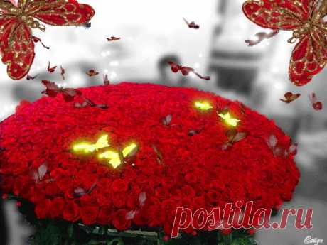 0_e99e4_a6b8d23c_orig (640×480)