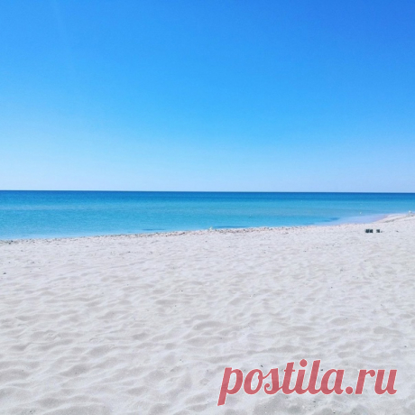 Пляжи Крыма с белым нежнейшим песочком:
Поселок Мирный
Коса Беляус
Село Оленевка
Село Поповка
Село Межводное
Село Штормовое
Село Черноморское
Село Заозёрное
Розовое Кояшское озеро и побережье Чёрного моря💗💙
Теперь жилье в Крыму можно снимать напрямую от собственников 🔥
Сотни вариантов жилья с видом на море, с белым песочком или вблизи можжевеловых рощ на Южном Берегу Крыма!
Подписывайся и будь в курсе лучших предложений 💙🐬
Жильё / Аренда без посредников в Крыму