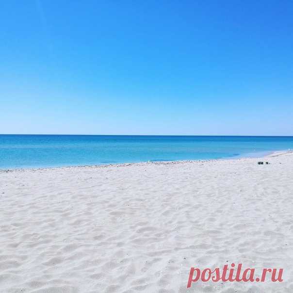 Пляжи Крыма с белым нежнейшим песочком:
Поселок Мирный
Коса Беляус
Село Оленевка
Село Поповка
Село Межводное
Село Штормовое
Село Черноморское
Село Заозёрное
Розовое Кояшское озеро и побережье Чёрного моря💗💙
Теперь жилье в Крыму можно снимать напрямую от собственников 🔥
Сотни вариантов жилья с видом на море, с белым песочком или вблизи можжевеловых рощ на Южном Берегу Крыма!
Подписывайся и будь в курсе лучших предложений 💙🐬
Жильё / Аренда без посредников в Крыму