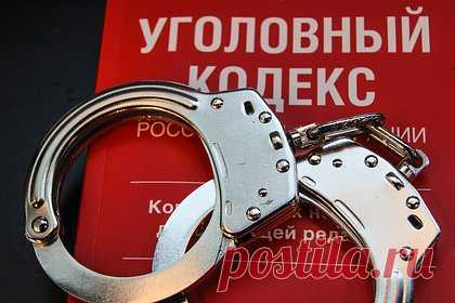 Против поджигателя из Владимирской области возбудили дело