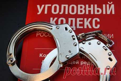 Против поджигателя из Владимирской области возбудили дело
