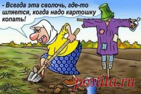 Социальная Трусость » Диамант — жемчужины мудрости