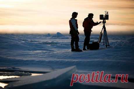 Save The Arctic