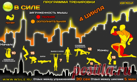 53 тренировочных программы для Начинающих, Продвинутых, Профессионалов и Мастеров от сайта WSILE.RU - WorkOut