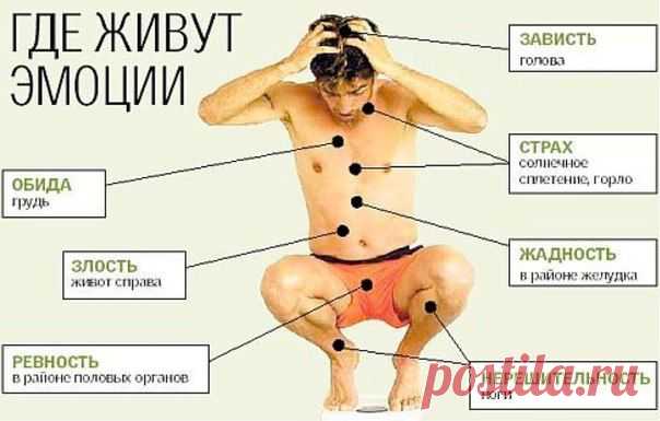 Где живут эмоции. Очень полезно, задумайтесь... | Human psychology