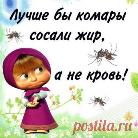 (48) Одноклассники