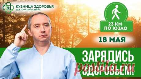 Блог Доктора Шишонина | Дзен