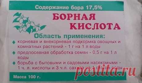 Борная кислота в саду и огороде | Дачные секреты от Виктории Радзевской | Яндекс Дзен