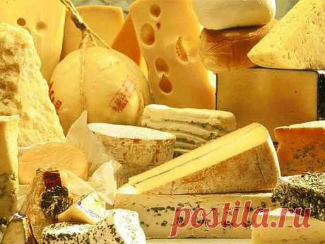 Выбор сыров | Мир полезных продуктов