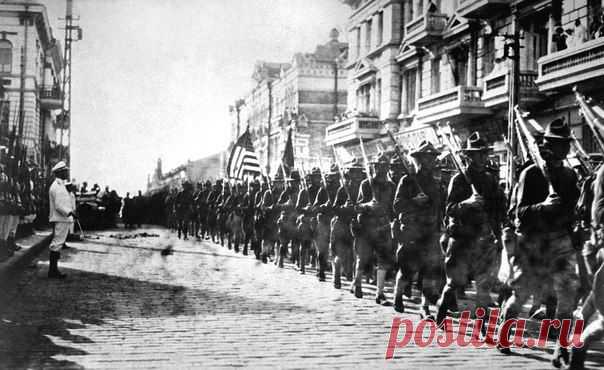 Американские свиньи уже приезжали завоёвывать Русь в 1918 году – Новости РуАН