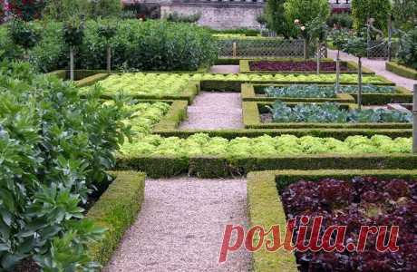 Интересные варианты грядок Традиционно овощи сажают на грядки. Но вид обычных грядок на многих нагоняет тоску: хочется чего-то необычного, красивого, а тут скучные однообразные земляные холмики…
А ведь грядки тоже бывают разные…