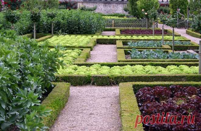 Интересные варианты грядок Традиционно овощи сажают на грядки. Но вид обычных грядок на многих нагоняет тоску: хочется чего-то необычного, красивого, а тут скучные однообразные земляные холмики…
А ведь грядки тоже бывают разные…