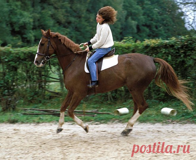 11 интересных фактов о Милен Фармер