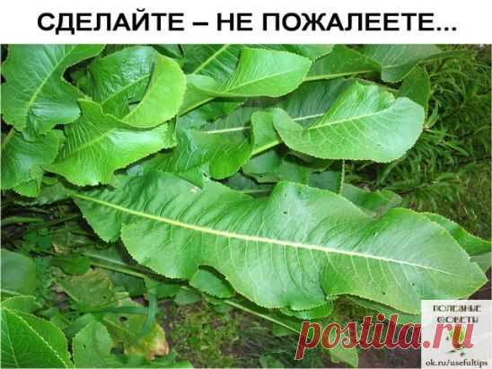 (3) Одноклассники