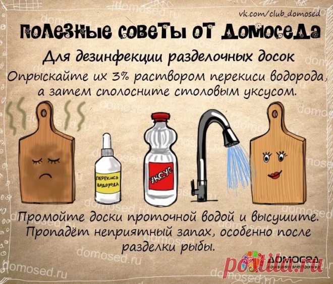 рецепты в картинках на все случаи жизни: 10 тыс изображений найдено в Яндекс.Картинках