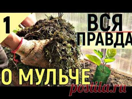 КАК ПОВЫСИТЬ ПЛОДОРОДИЕ МУЛЬЧА АКТИВНАЯ