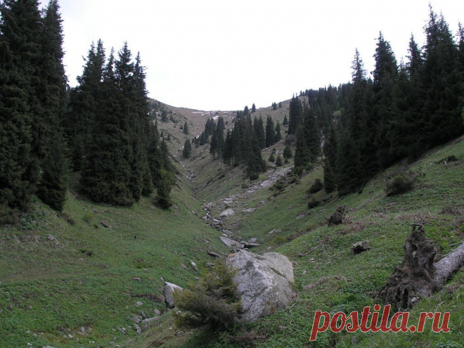 Panoramio - Photo explorer