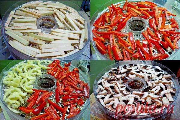 Сушеные овощи на зиму и пример их использования Сделать заготовки к периоду сильного зимнего подорожания из сушеных овощей — очень выгодное дело. Сушка, кроме экономической выгоды, удобна своей компактностью, для ее хранения не нужен подвал или другие особые условия, а в холодную зимнюю пору этот стратегический запас еще и сэкономит время хозяйки, ведь очистка и нарезка уже были произведены в теплый урожайный период. Каким способом можно сушить овощи 1. В специальной элект...