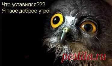 фитнес