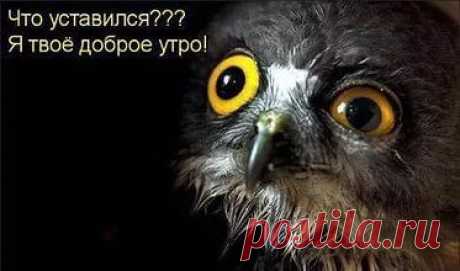 фитнес