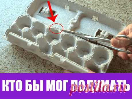 Я всегда выбрасывала картонные коробки для яиц, но больше не буду... Яйца можно есть как жареные, так и вареные, добавлять их в различные блюда либо просто приготовить на завтрак. Кто их не любит?    Помимо того что яйца — это вкусный и полезный продукт, их скорлупу можно использовать для творчества и украшения интерьера. Об этом знают многие. Но мало кто слышал, что картонные упаковки от яиц также могут пригодиться в быту.