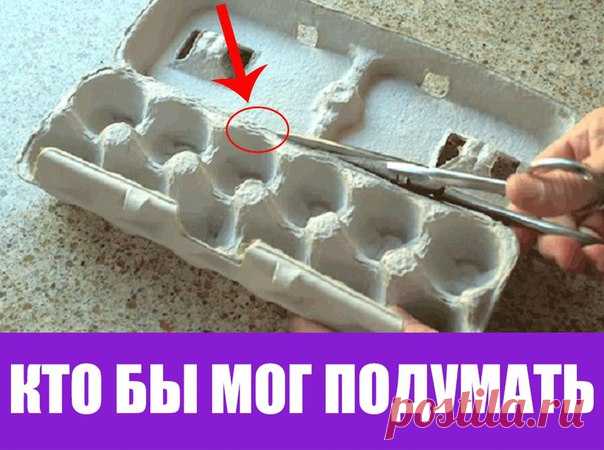 Я всегда выбрасывала картонные коробки для яиц, но больше не буду... Яйца можно есть как жареные, так и вареные, добавлять их в различные блюда либо просто приготовить на завтрак. Кто их не любит?    Помимо того что яйца — это вкусный и полезный продукт, их скорлупу можно использовать для творчества и украшения интерьера. Об этом знают многие. Но мало кто слышал, что картонные упаковки от яиц также могут пригодиться в быту.