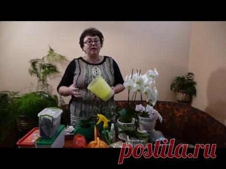 ПЕРЕСАДКА ОРХИДЕЙ - YouTube