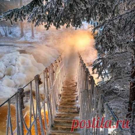 (6) Тhe beautiful world of Ludmila ( Красивият свят на Людмила )