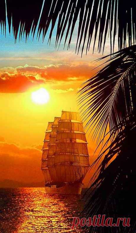 https://www.sib-oboi.ru/images/catalog/1524_position_1.jpg | Sailboats