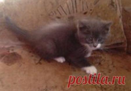 Нафаня - маленький герой)