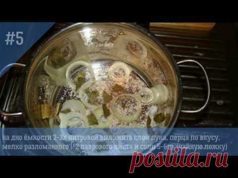 Малосол из муксуна. [Ямальская кухня #1]