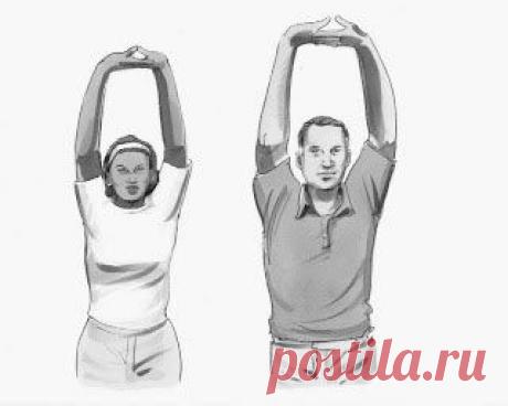 БЕЗ ШТАНГИ И ТРЕНАЖЁРОВ