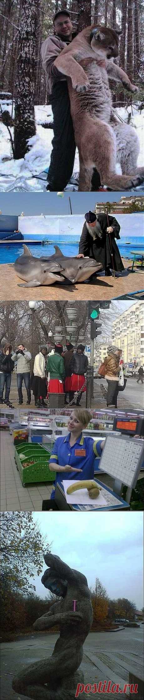 А в это время где-то в России... / Приколы