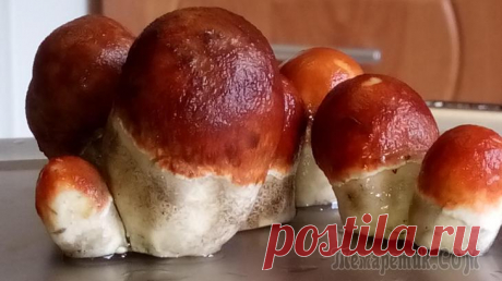 Мясное рагу с овощами и грибами в мультиварке - скороварке
