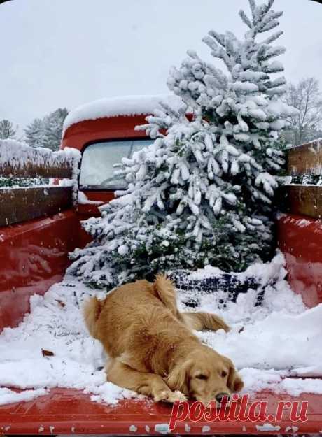 Pinterest