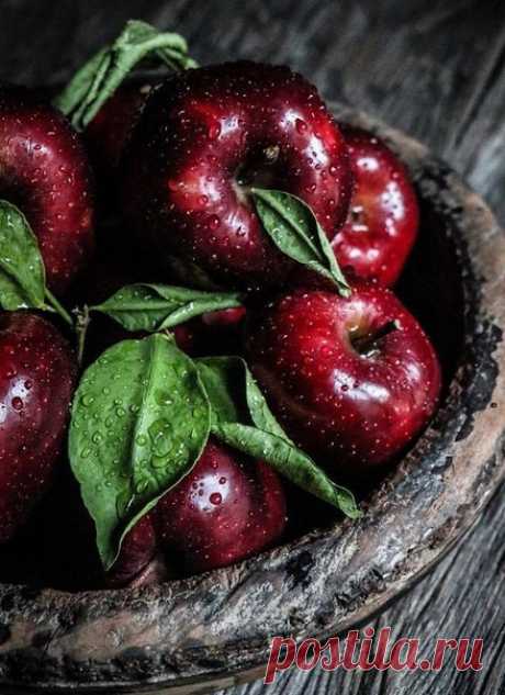 Никогда не зацикливайся на плохом, из-за этого можно пропустить что-то хорошее.