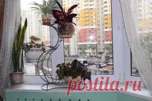 УЗЕЛОК НА ПАМЯТЬ. Чем отмыть пластиковый подоконник