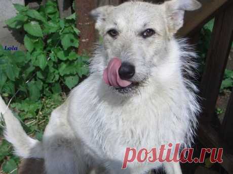 Лето | Фотографии Ксюша Ксюшина | 201 фото